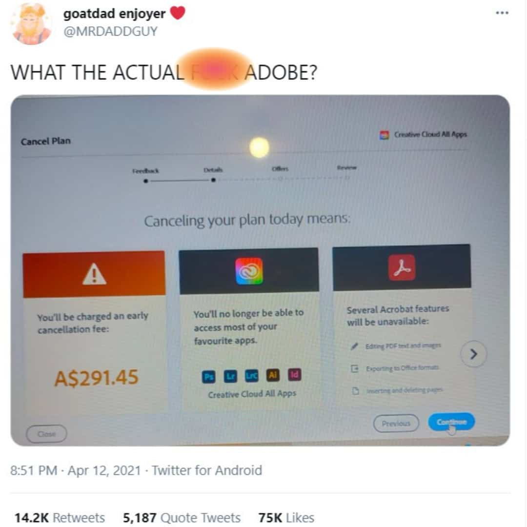 Adobe user's review