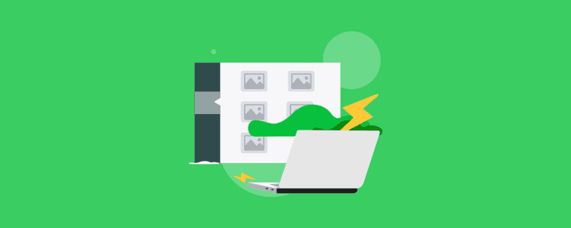 photo management software cover image