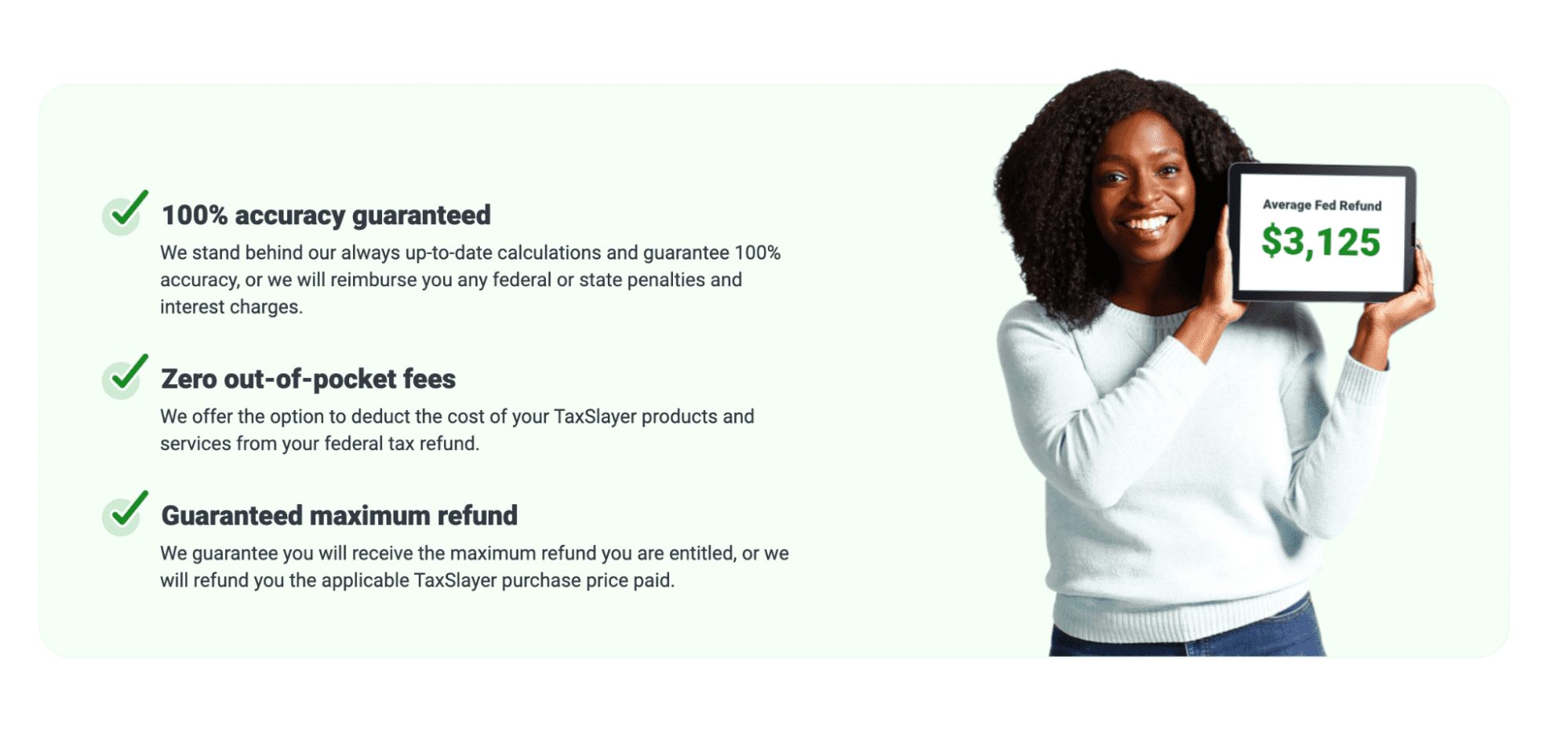 TaxSlayer’s interface