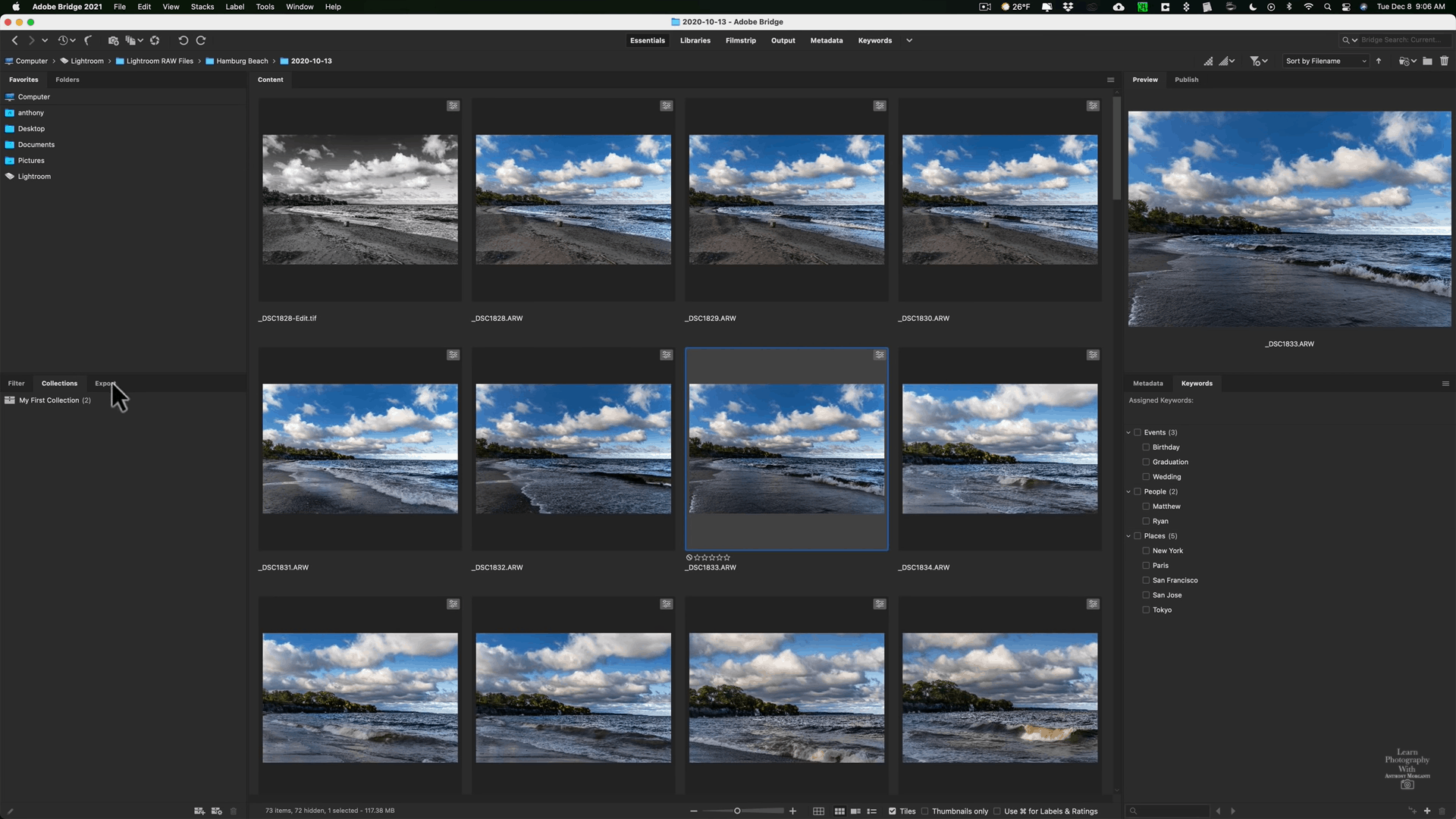 photo mangement software - Adobe Bridge
