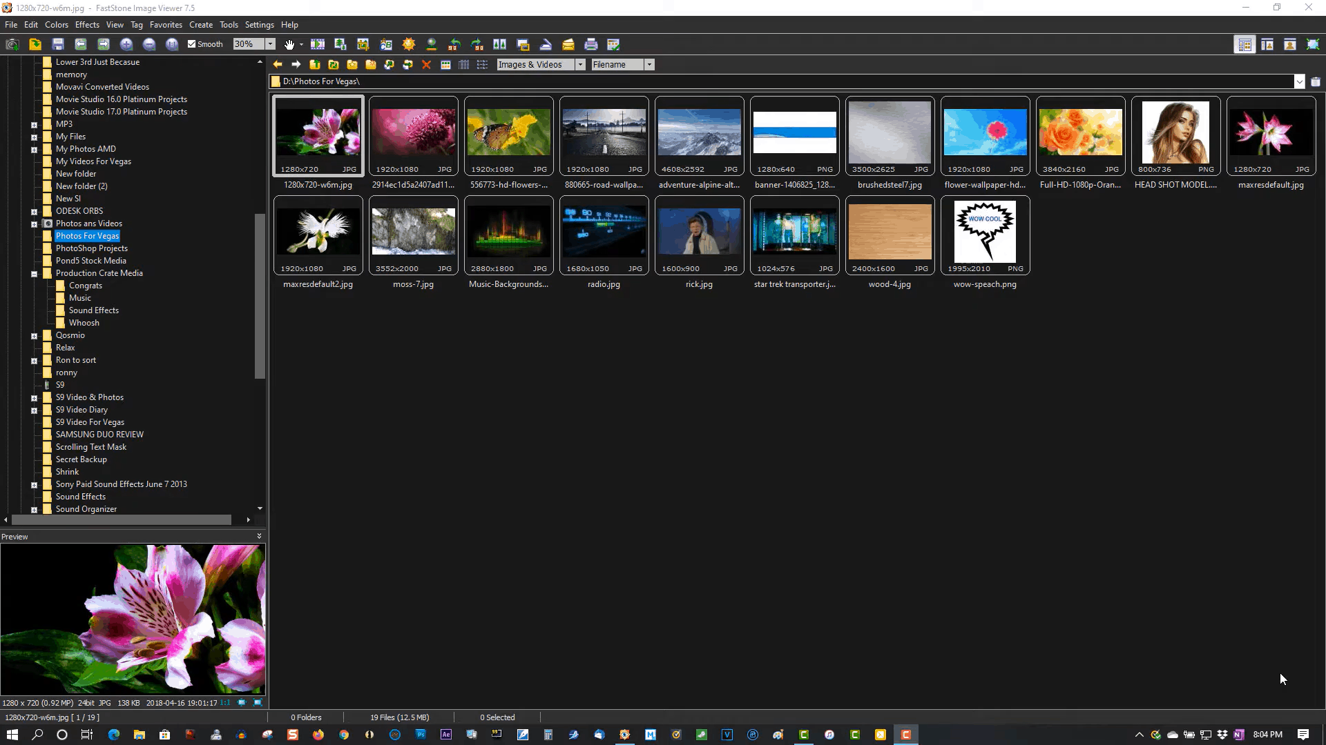 photo management software -FastStone Image Viewer