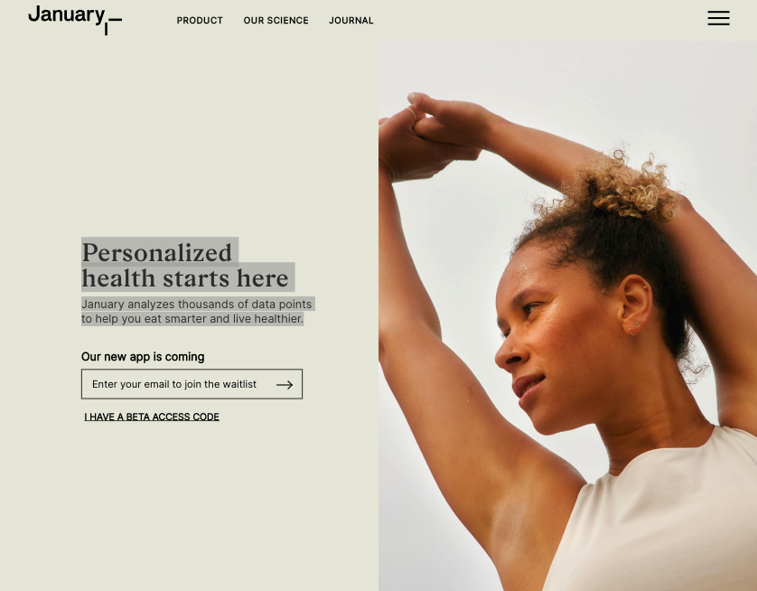 January AI homepage