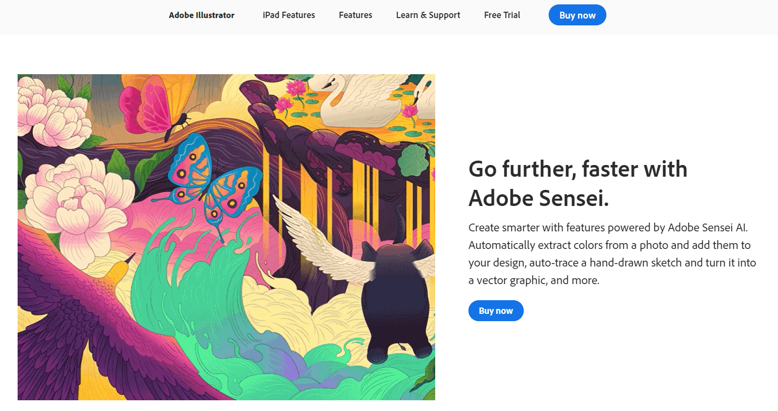 Best graphic design - Adobe Illustrator