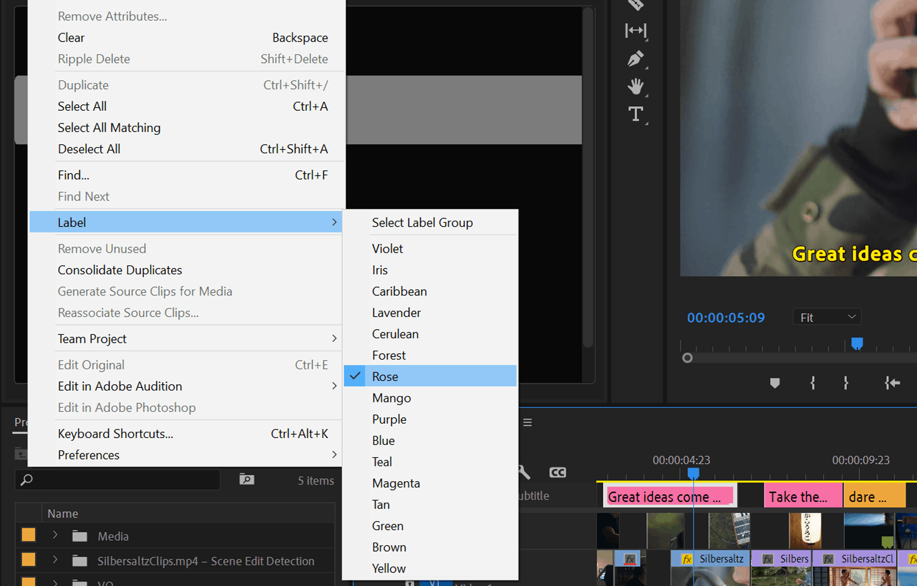 Premiere Pro
