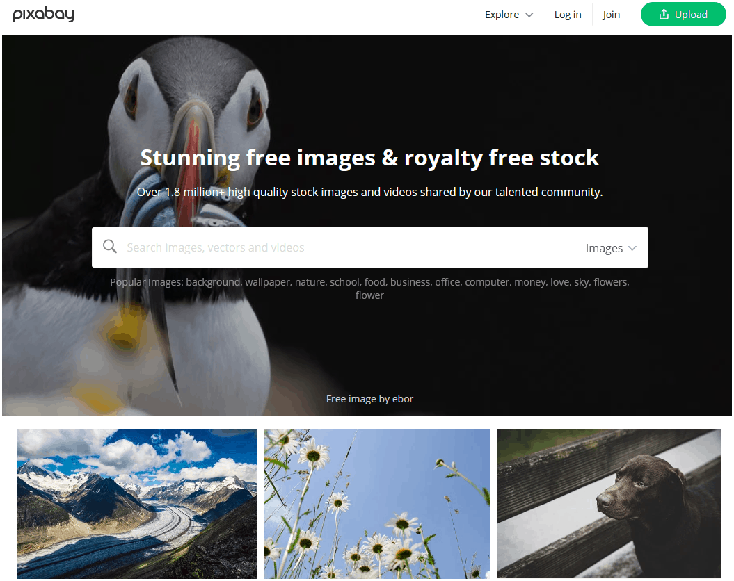 graphic design resources pixabay