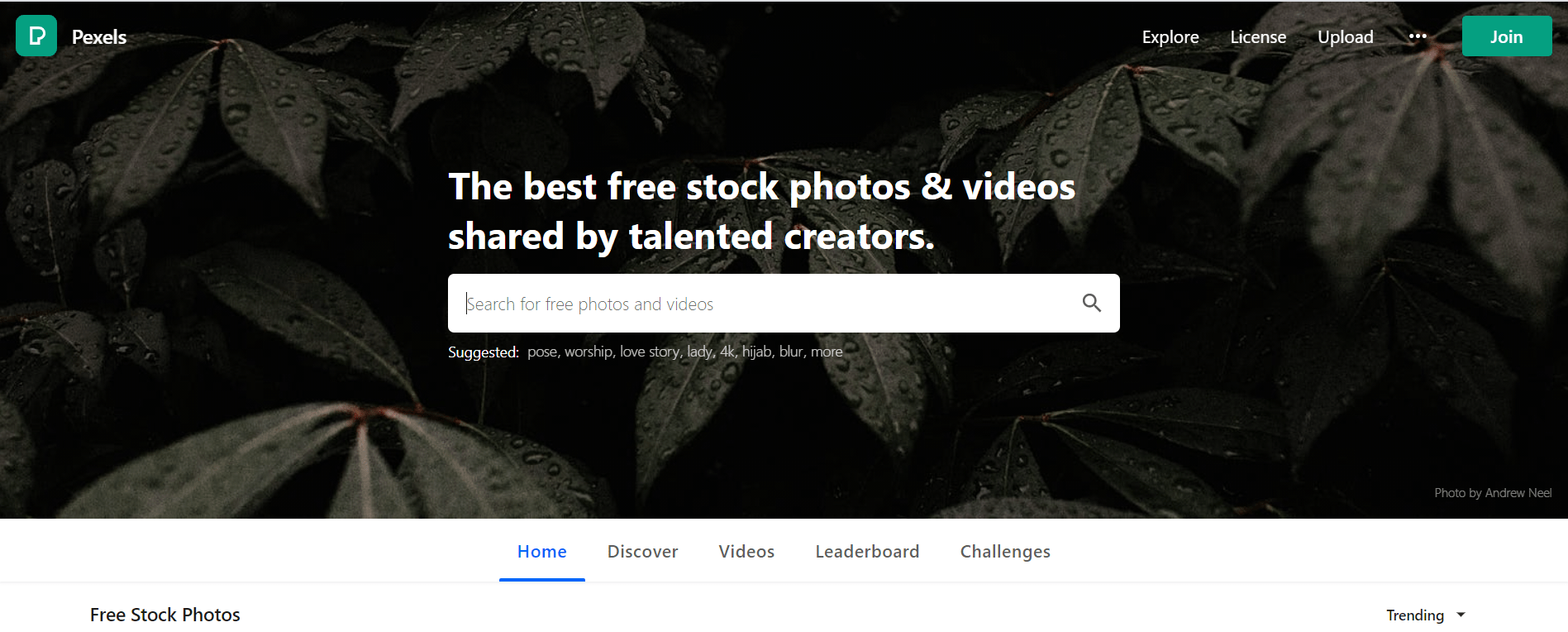 graphic design resources pexels