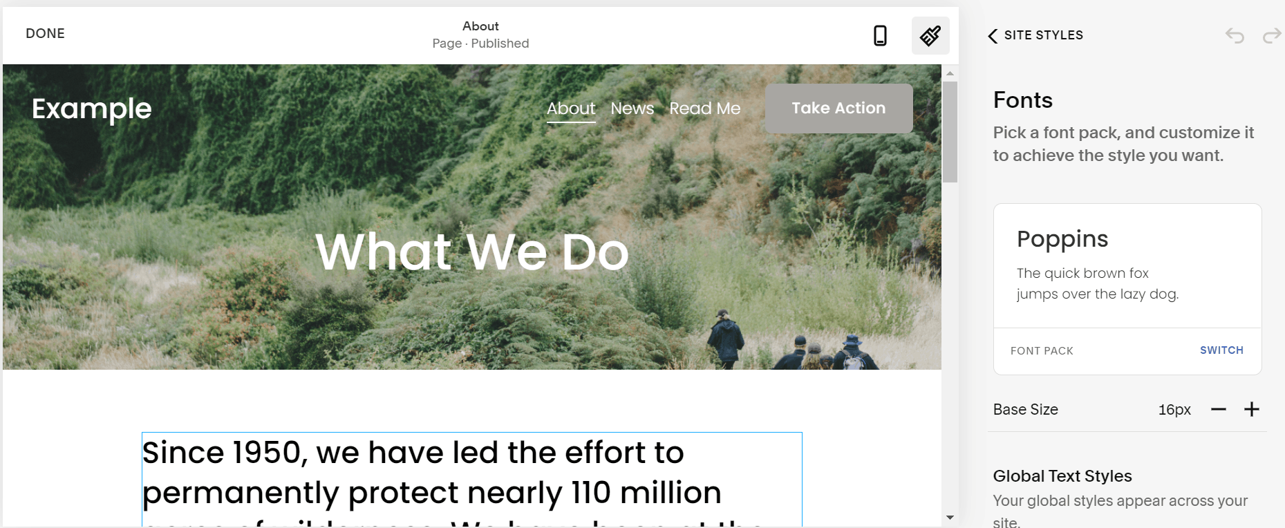 Squarespace template edit tool