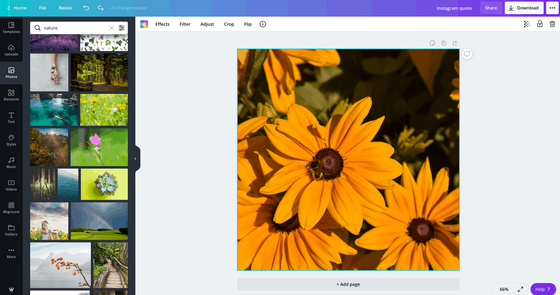 Canva nature/sunflower photo