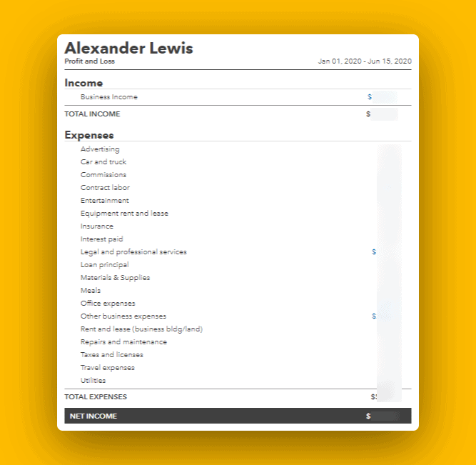 Financial metrics - Alex's Profit & Loss Statement
