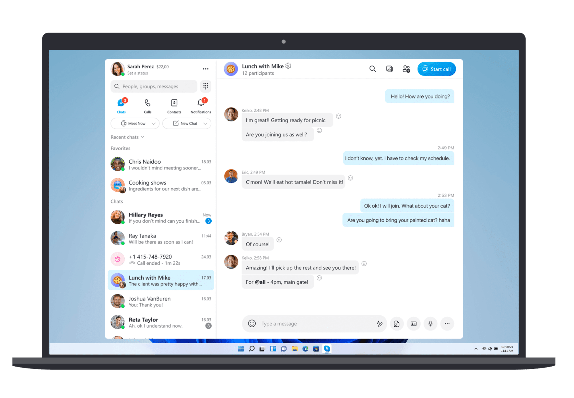 zoom alternative - Skype