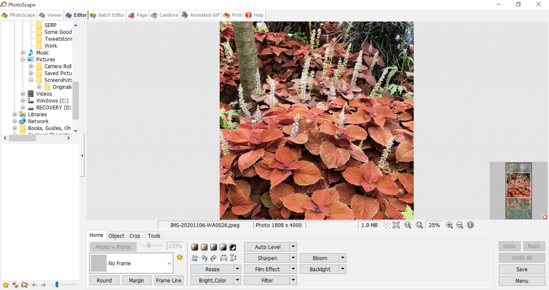 PhotoScape X