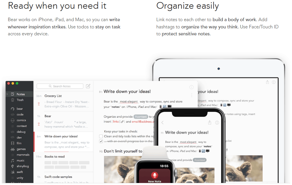 Onenote alternative - Bear