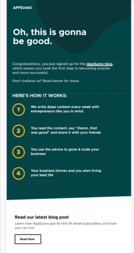AppSumo welcome email example