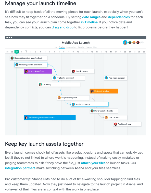 Asana's target audience