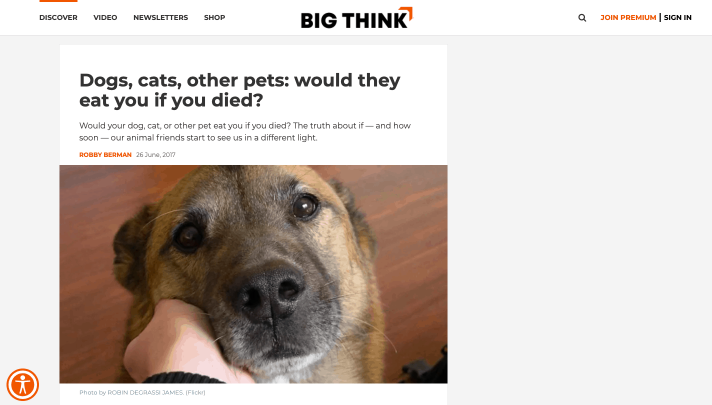 explanatory post by Big Think
