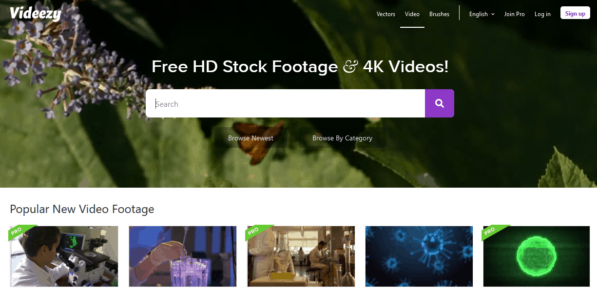 Best stock video Videezy