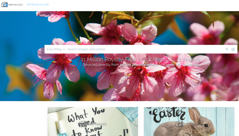 Discounted Graphic Design Tool: Yay Images